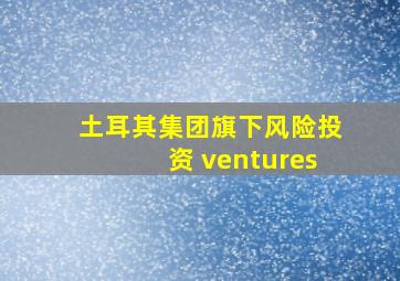 土耳其集团旗下风险投资 ventures